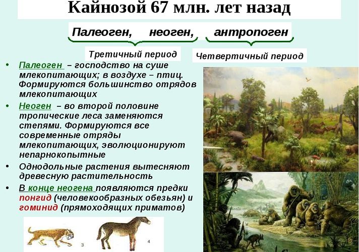 Новая жизнь!