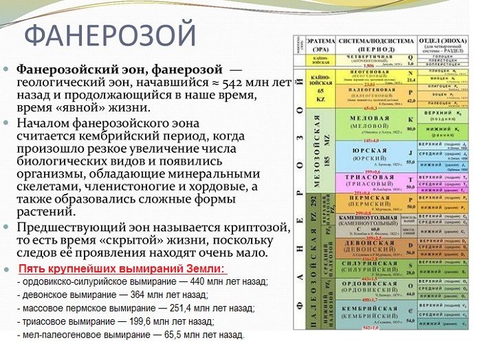 Характеристика