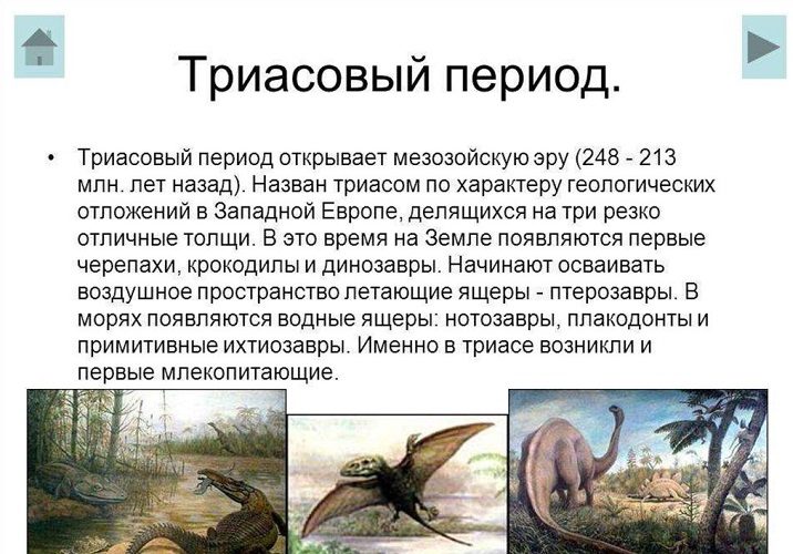 Триан