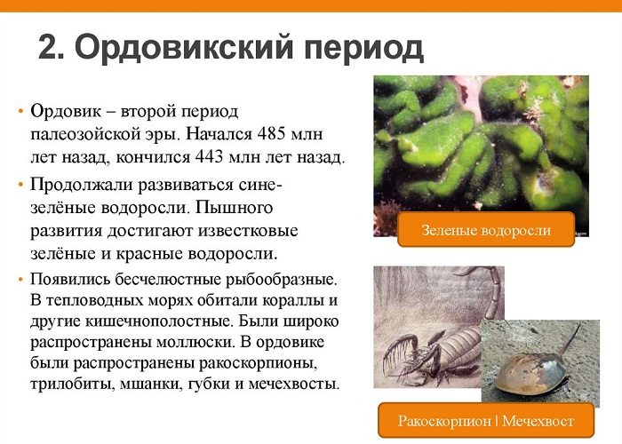 Второй период
