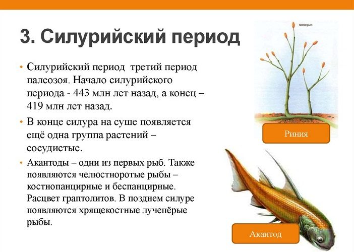 3 этап