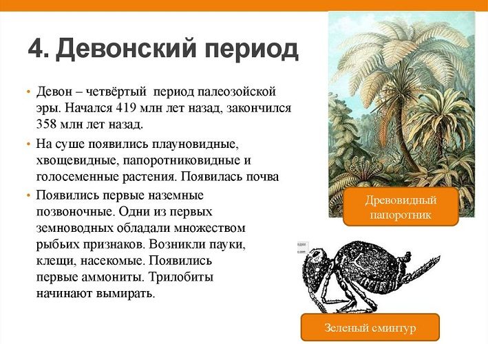 4 период