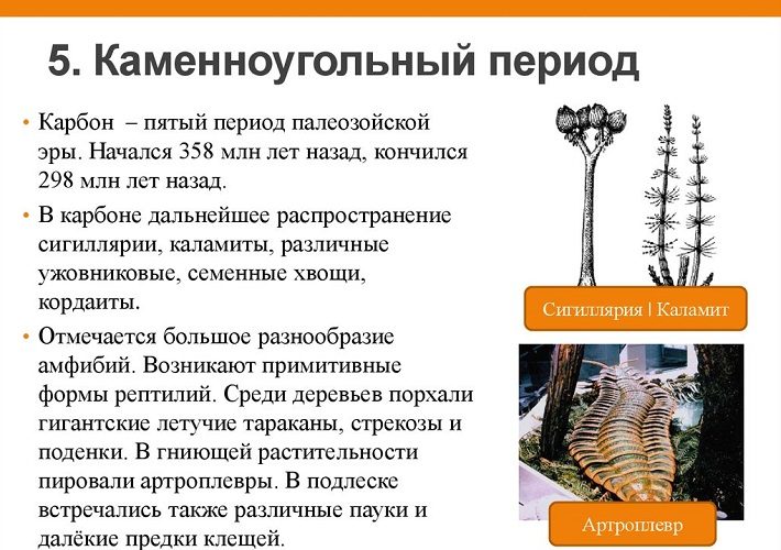 Карбон
