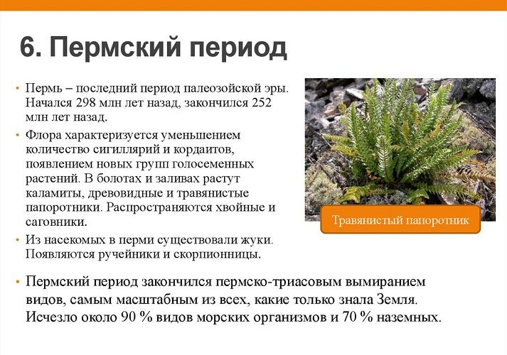 Пермь