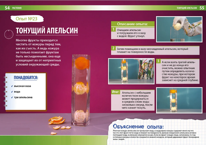 Проверяем мандарины