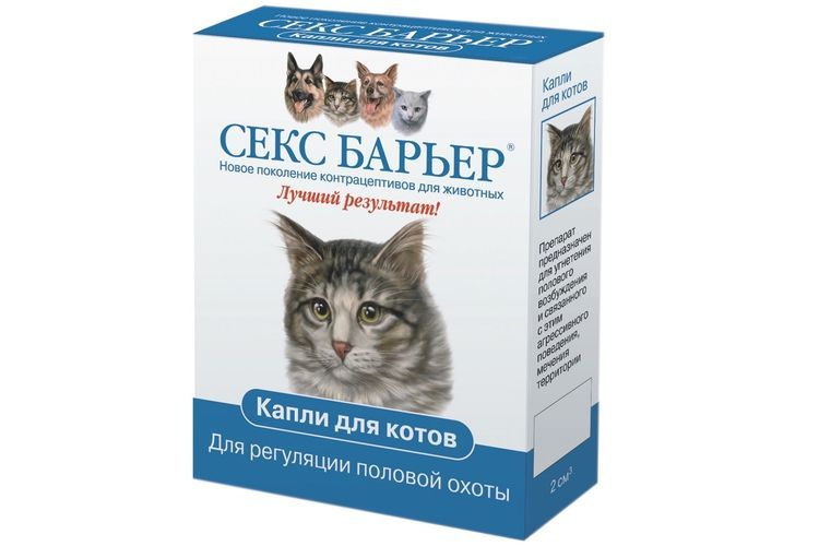 Котикам