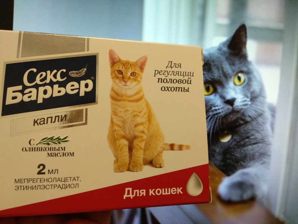 Кискам