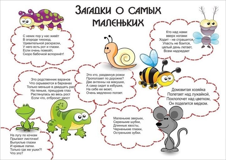 Загадки