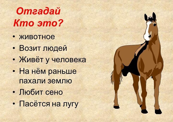 Можно отгадывать животных