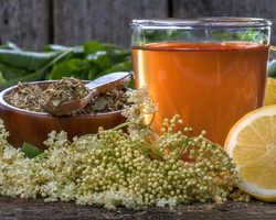 Как применять чай из цветов бузины при простуде?
