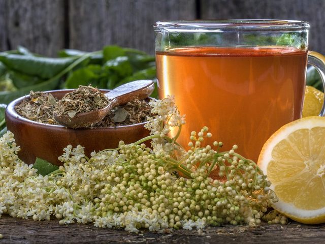 Как применять чай из цветов бузины при простуде?