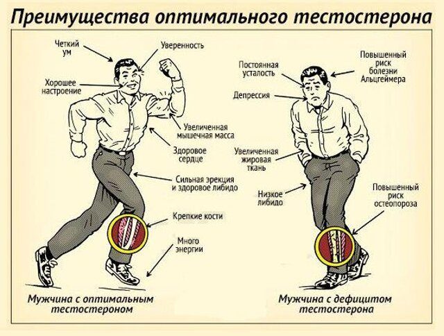 Сравнение
