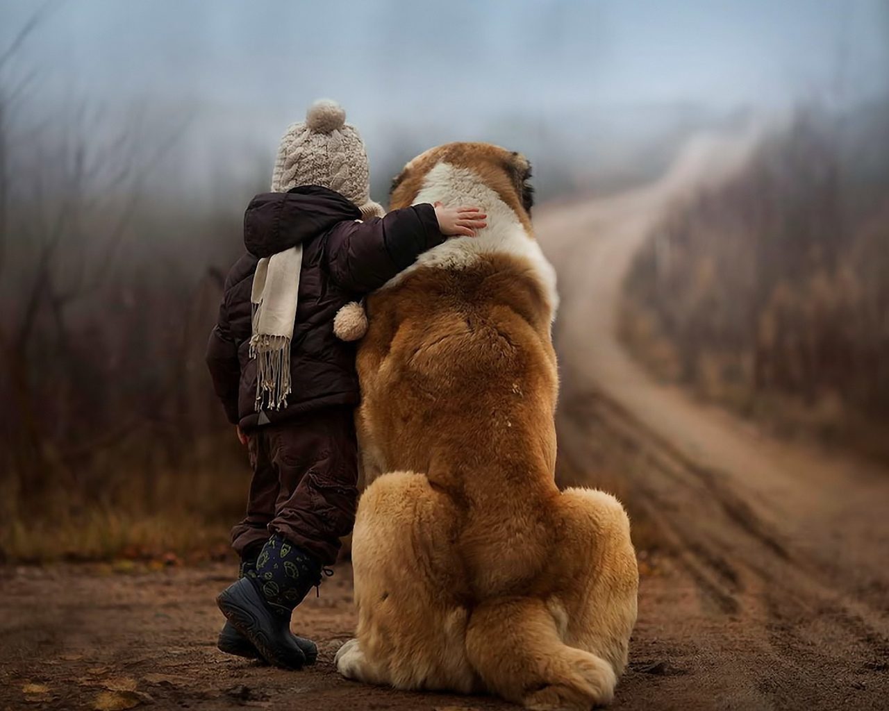 Лечить собак
