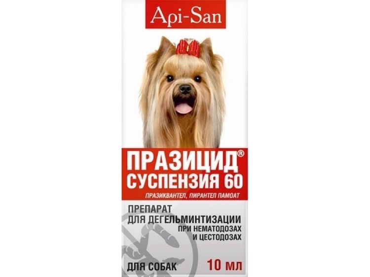 Собачкам