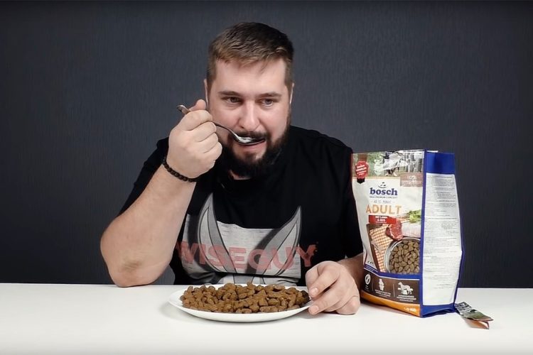 Дегустатор