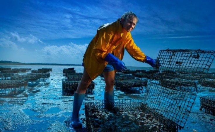 Морская профессия