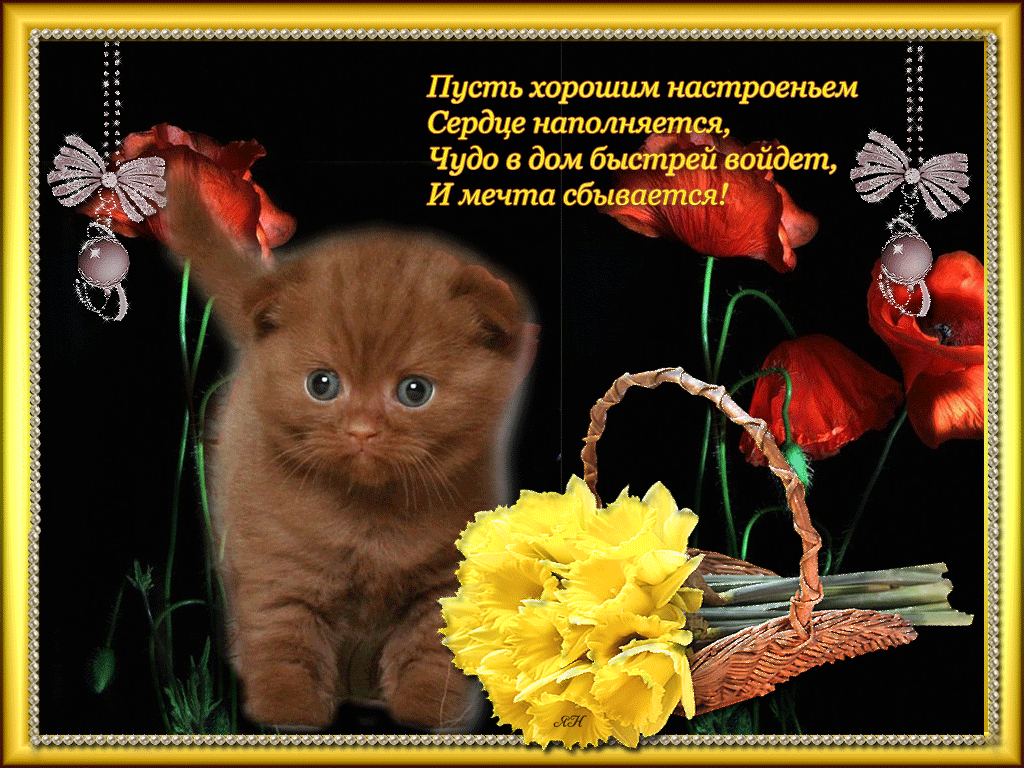 Красивые слова пожеланий хорошего дня