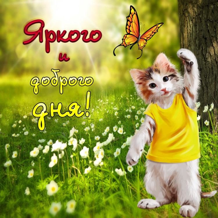 Пожелания хорошего, доброго дня