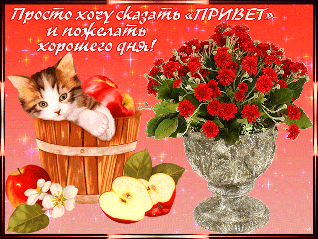 Красивая гифка хорошего дня