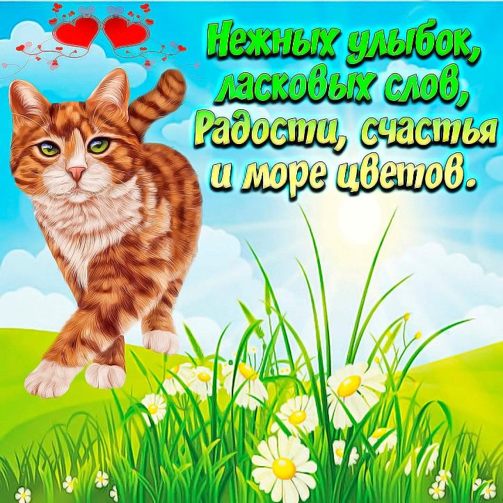 Красивые слова пожеланий хорошего дня