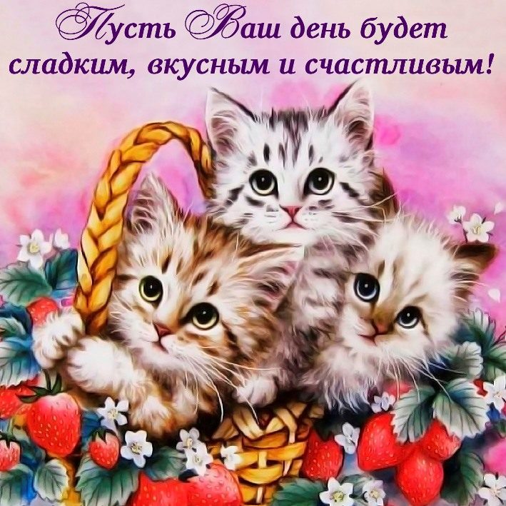 Красивые открытки хорошего дня