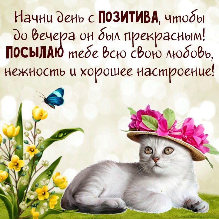Красивые открытки хорошего дня