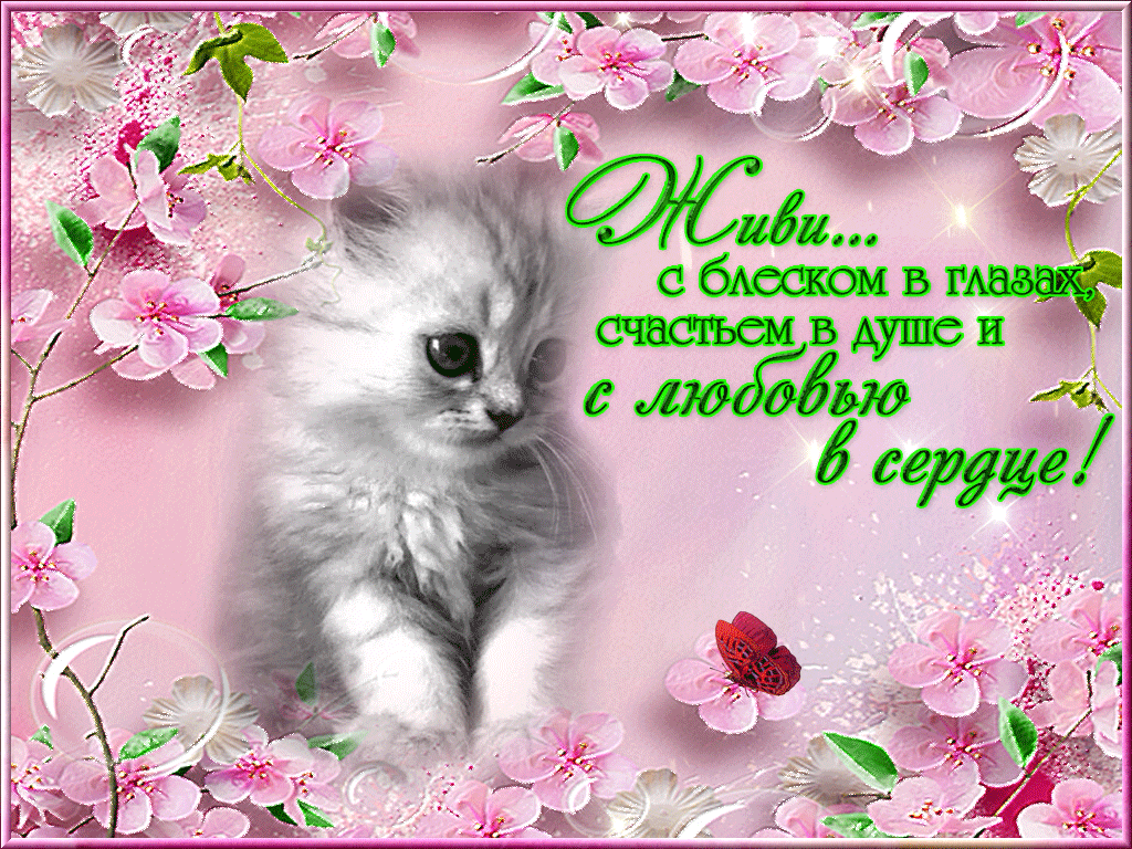Пожелания хорошего, доброго дня