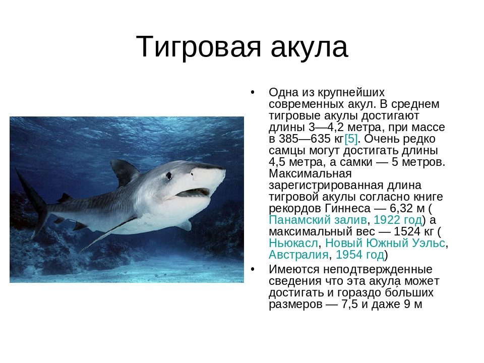 Опасная