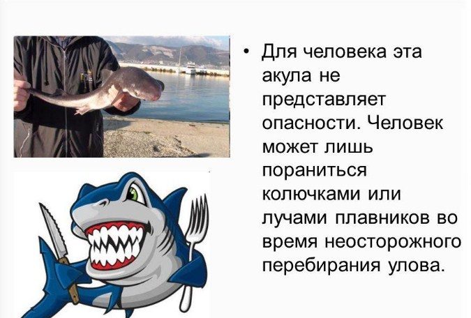 Не опасна