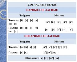 Парные звонкие и глухие, твердые и мягкие согласные звуки: таблица, примеры слов. Как проверить написание парных согласных в корне, на конце слова?