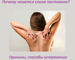 Почему чешется, зудит спина каждый день: причины и их устранение