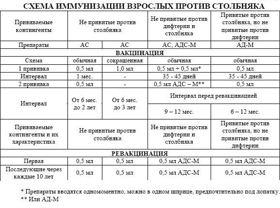 Изображение 4. схема иммунизации взрослого человека против столбняка.
