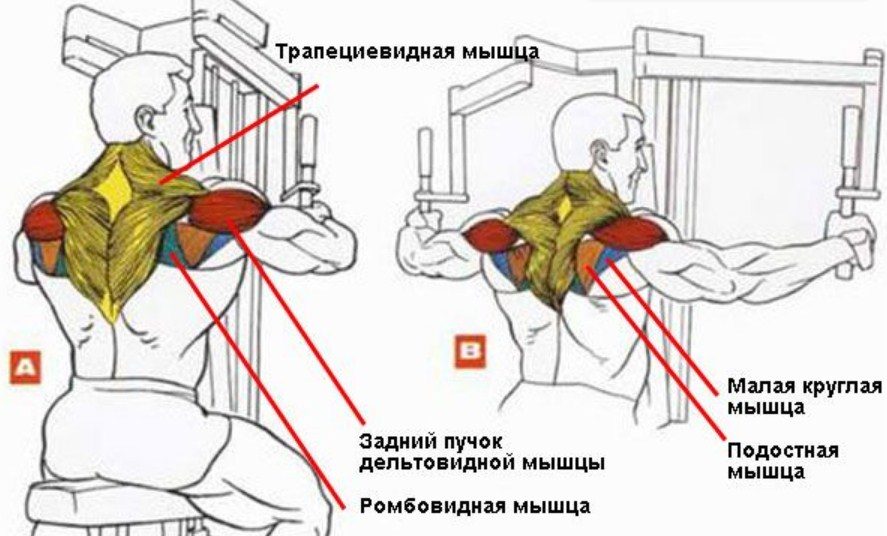 Разводим руки