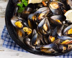 Речные ракушки — мидии: можно ли их есть? Как вкусно приготовить речные мидии — на сковороде, в сливочном и сливочно-чесночном соусах, салаты и суп с мидиями, речные мидии на костре: лучшие рецепты, советы