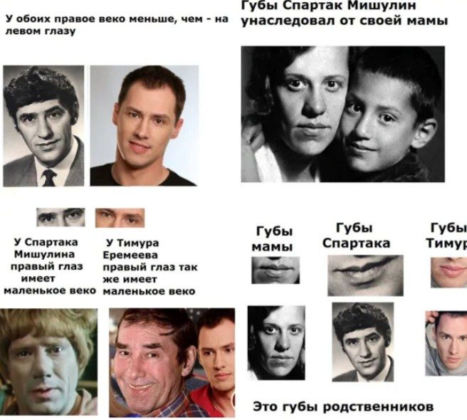 Сходство