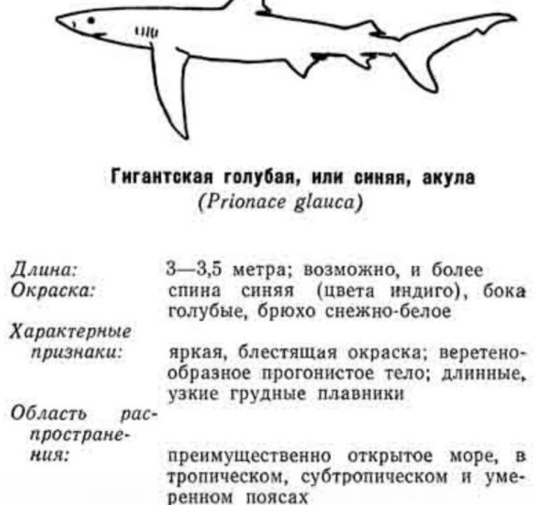 Описание