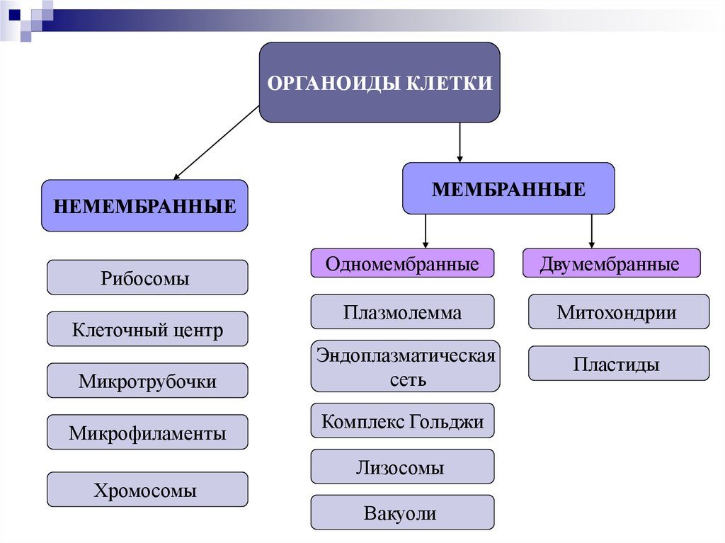 Разделение