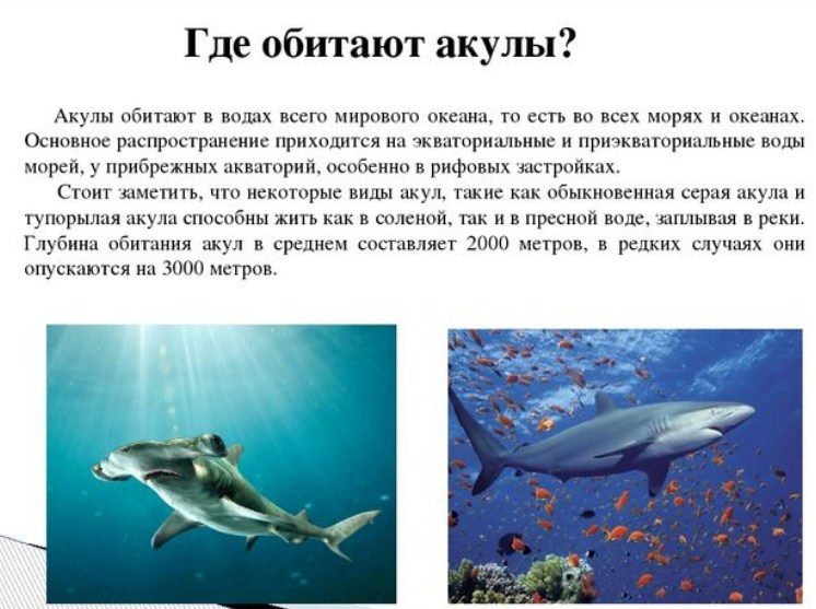 Может обитать в любых водах