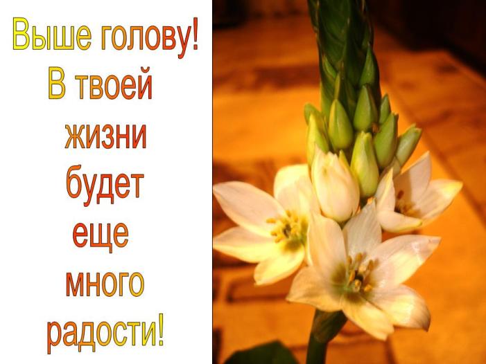 Слова поддержки для любимых