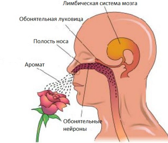 Восприятие