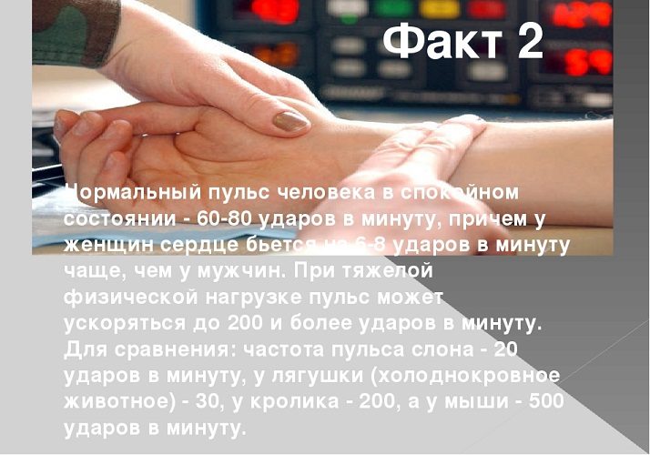 Несколько фактов