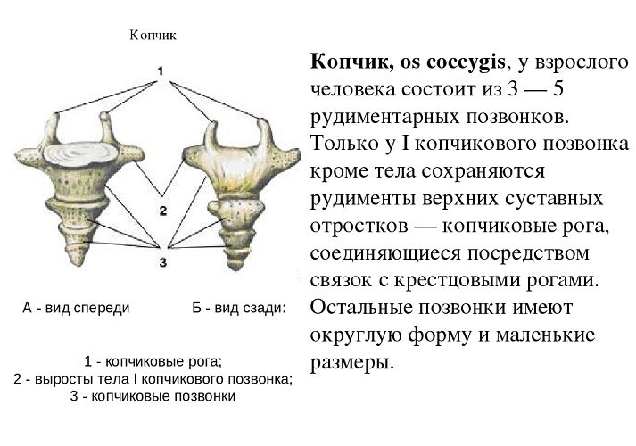 Перевернутая пирамида