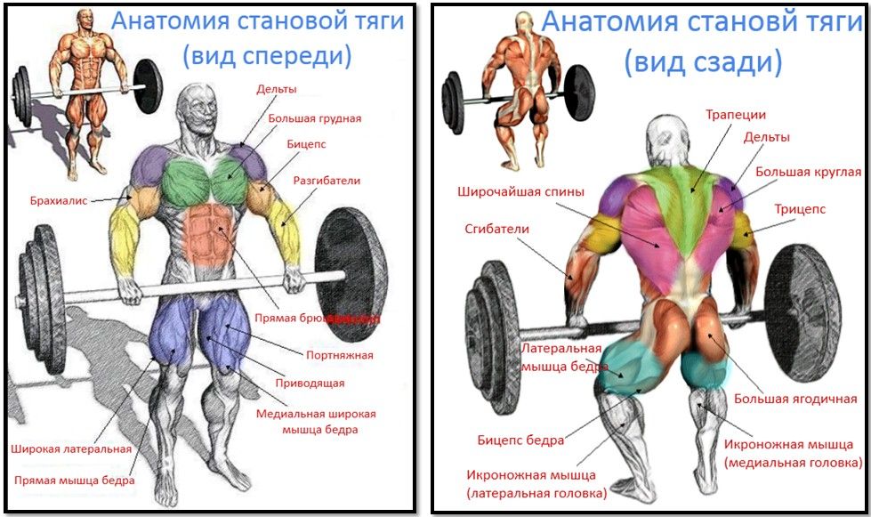 Подробно