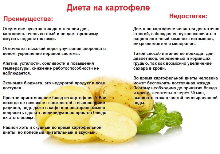 Плюсы и минусы