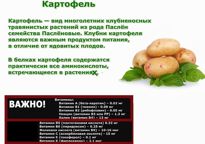 Состав