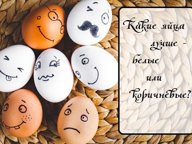Чем отличаются белые куриные яйца от коричневых, какие лучше: что влияет на интенсивность окраса и толщину скорлупы, желтка, белка, размер яиц, чистку?