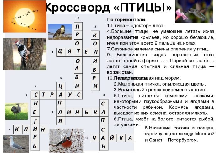 Кроссворд «сапсан»