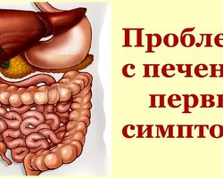 Какие 27 явных сигналов подает больная печень в самом начале ее заболевания?