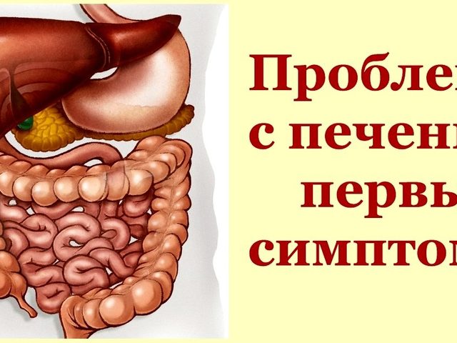 Какие 27 явных сигналов подает больная печень в самом начале ее заболевания?