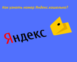Как и где узнать номер счета своего кошелька Яндекс.Деньги?